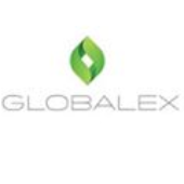 Globalex Enviro LLC 